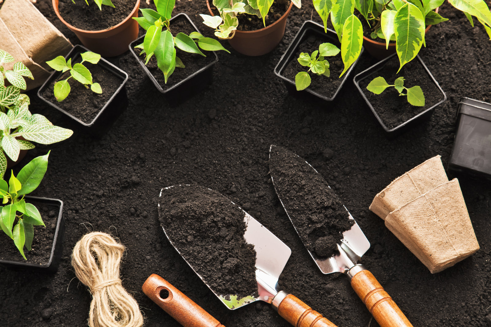 Home and garden